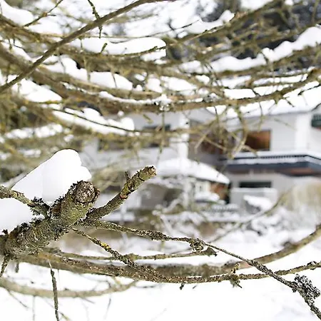 Hotel-pension Zum Paradies 2* فيلنغن