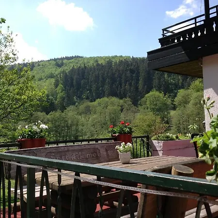 Hotel-pension Zum Paradies Готель