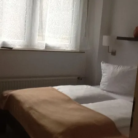 Hotel-pension Zum Paradies Willingen (Upland)