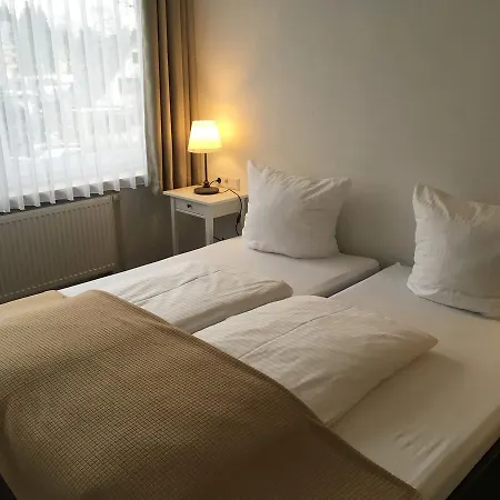 Hotel-pension Zum Paradies Готель Віллінген