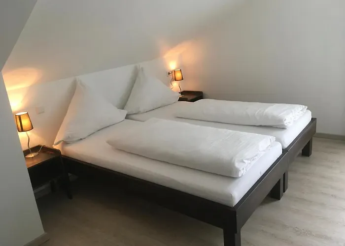 호텔 Hotel-pension Zum Paradies 빌링겐