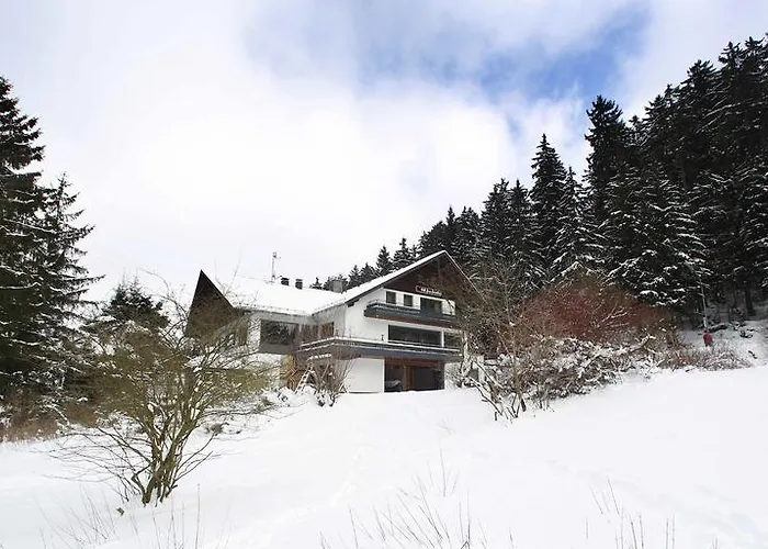 酒店 苏姆帕拉迪斯酒店 维林根