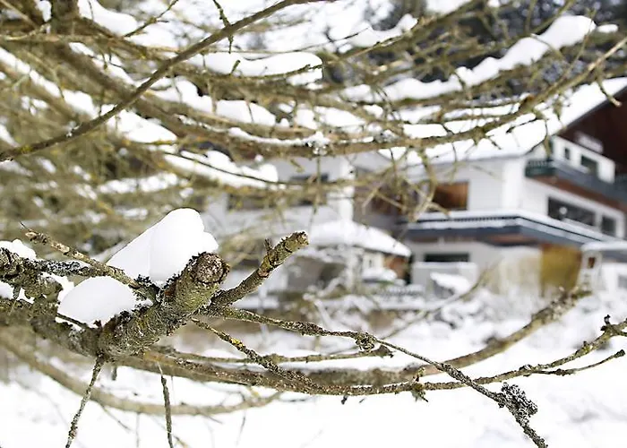 Hotel-pension Zum Paradies 2* 빌링겐