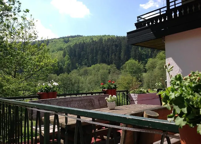 Hotel-pension Zum Paradies 호텔