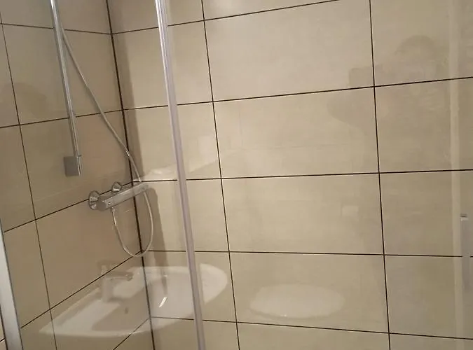 Hotel-pension Zum Paradies 2* 빌링겐